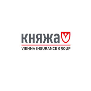 Страхова компанія Княжа Вієнна Іншуранс Груп Житомир/Житомирська область на lіsthub.zt.ua