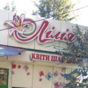 Магазин квітів Лілія Житомир на listhub.zt.ua
