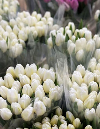 Студія квітів La Fleur у Звягелі