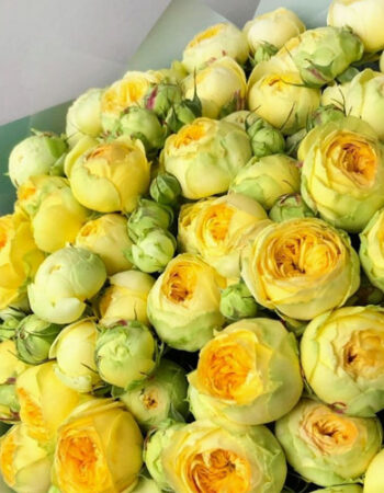 Студія квітів La Fleur у Звягелі