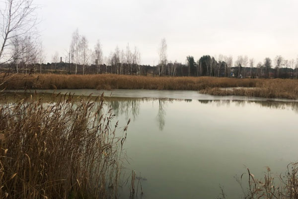 Nature and ecosystem of Irsha детальніше на listhub.zt.ua