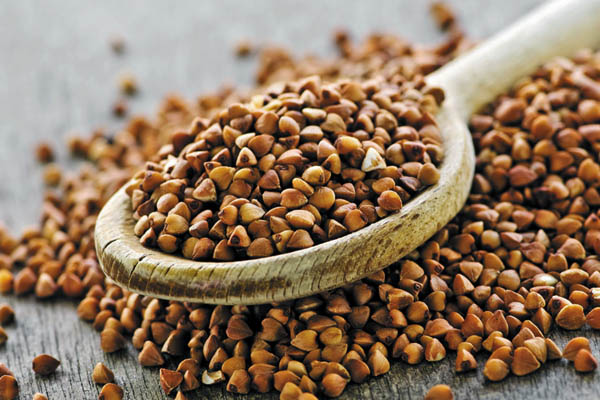 Buckwheat