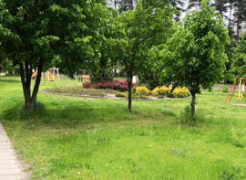 Irshansk image